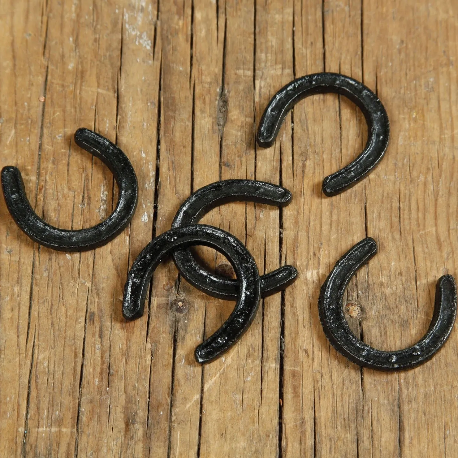 Black Cast Iron Horse Shoe