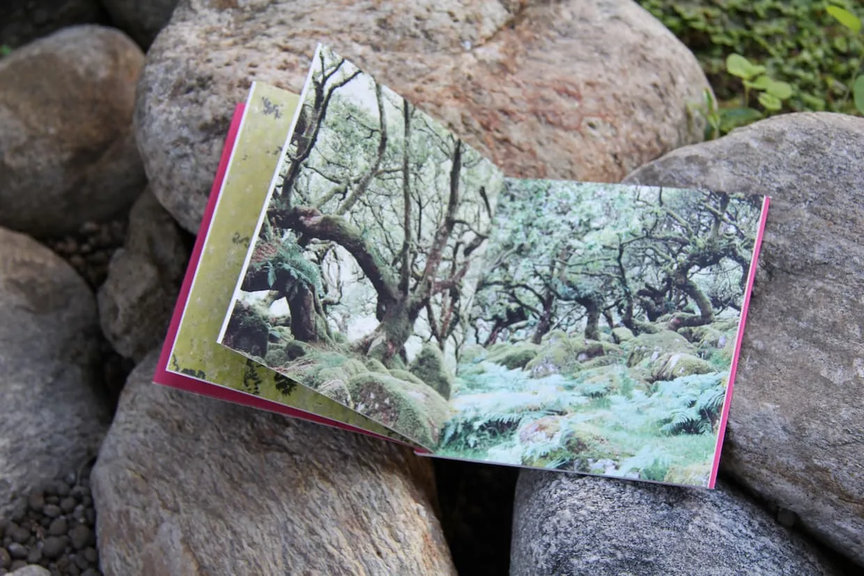 Cahier nr. 6 - Lo stato delle  cose