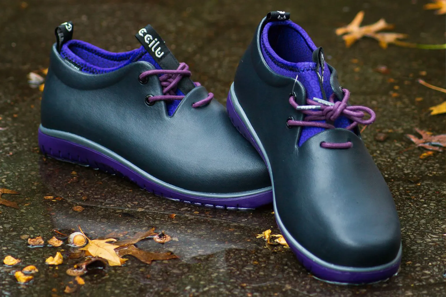 PANTO CDOT WOMEN (LOW TOP)