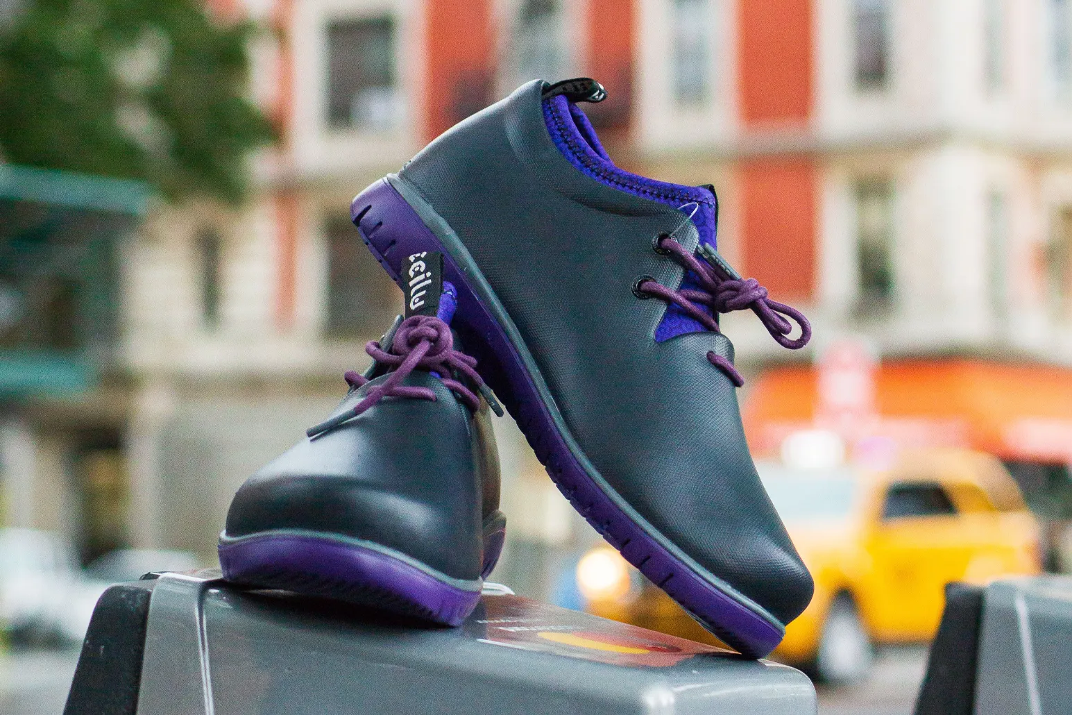 PANTO CDOT WOMEN (LOW TOP)