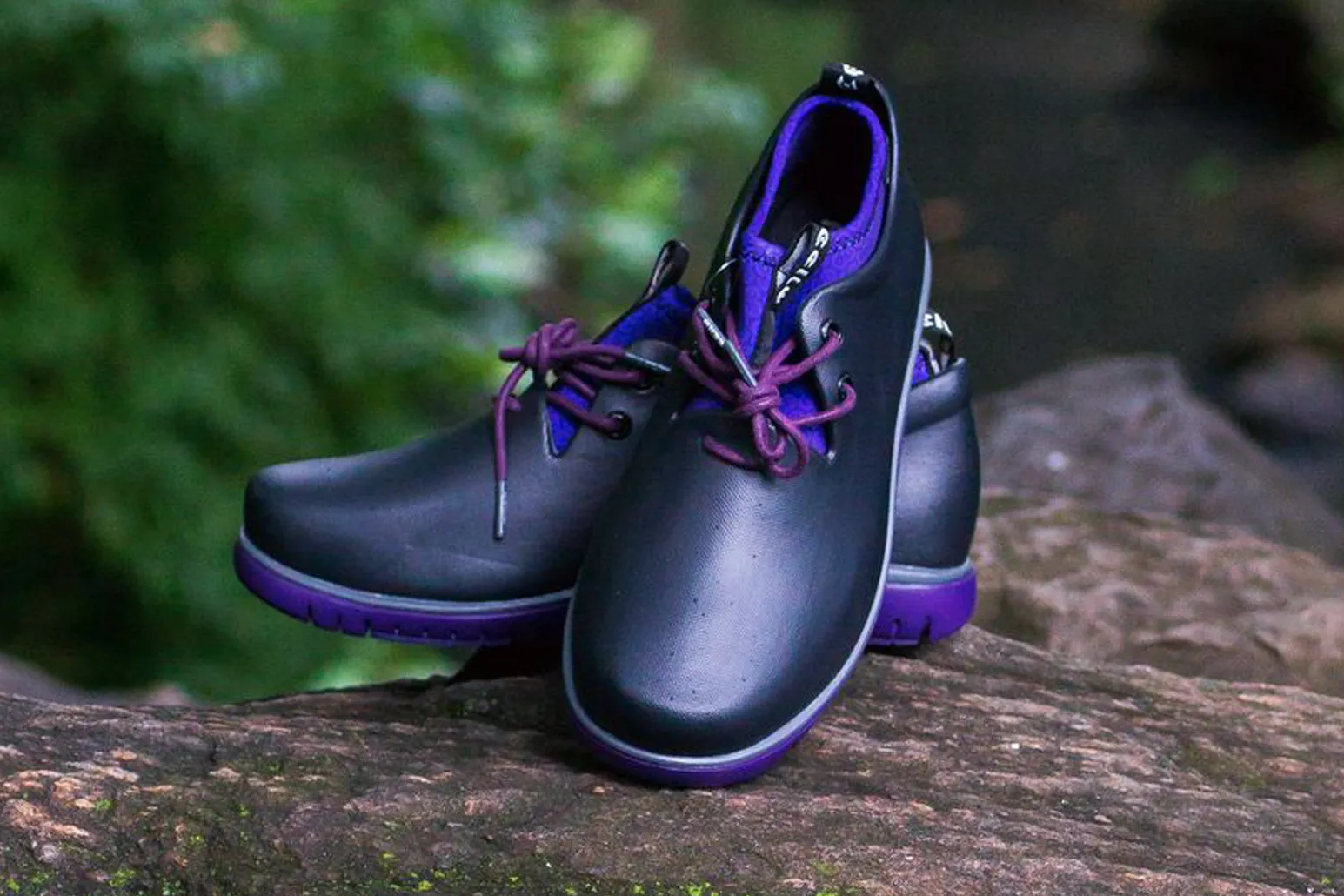PANTO CDOT WOMEN (LOW TOP)